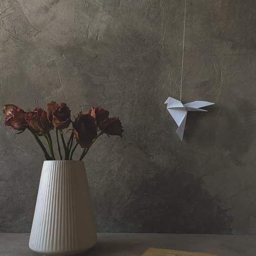 Photo #7921588