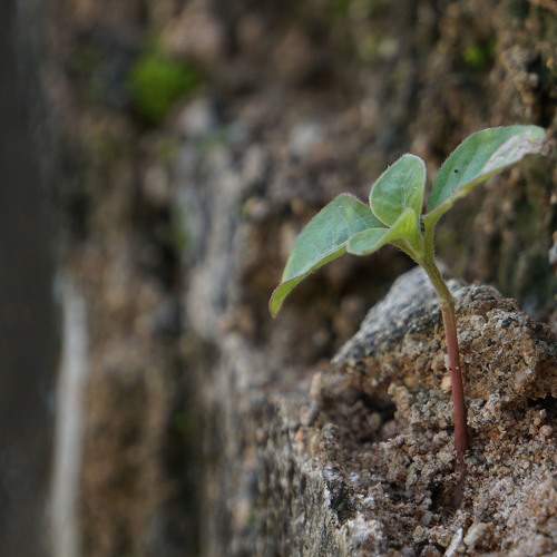 Photo #7921880