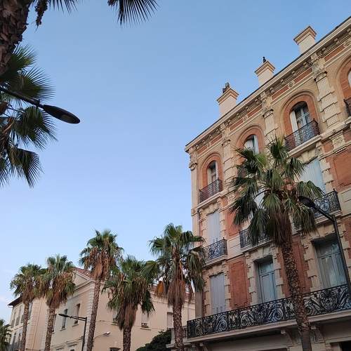 Photo #7921941