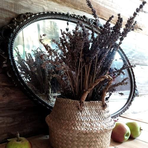 Photo #7922305