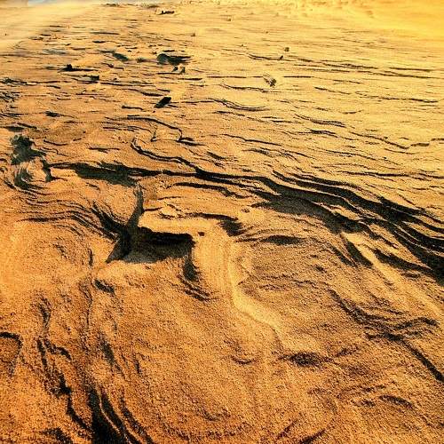 Photo #7922957
