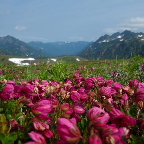 Photo #7924474