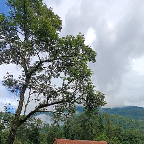 Photo #7924649