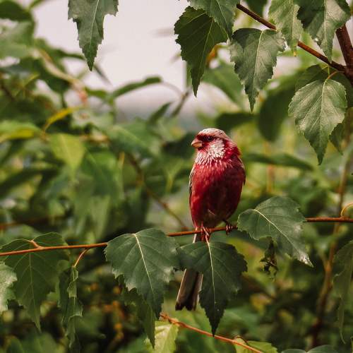 Photo #7924806