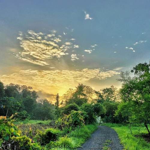 Mobile photography
