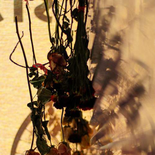 Photo #7925351