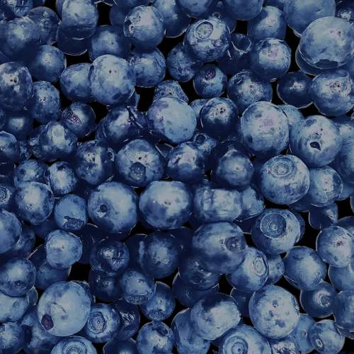Photo #7925359