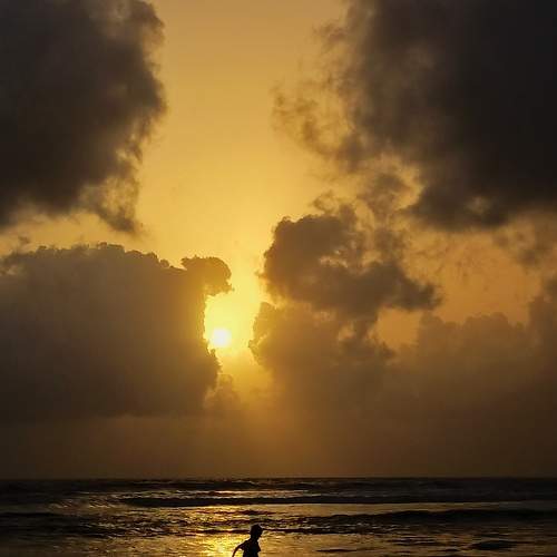 Photo #7926486