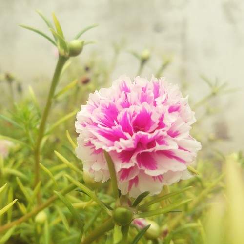 Photo #7926516