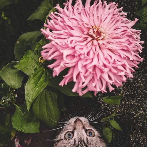 Photo #7927029