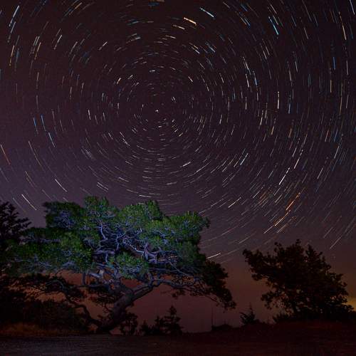 Photo #7927462