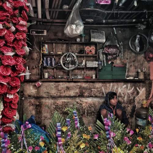Photo #7927497