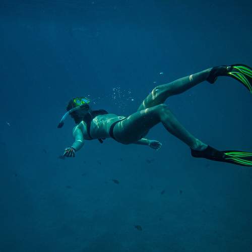 Photo #7927570