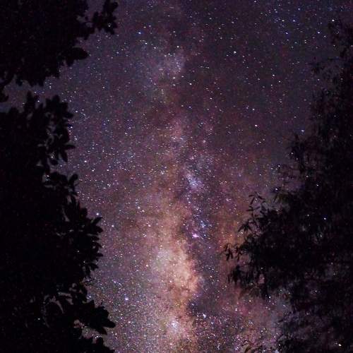 Photo #7927998