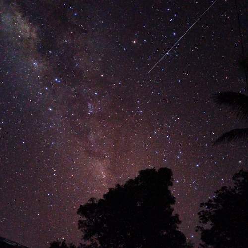 Photo #7927999