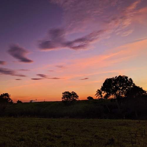 Photo #7928012