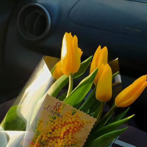 Photo #7928267