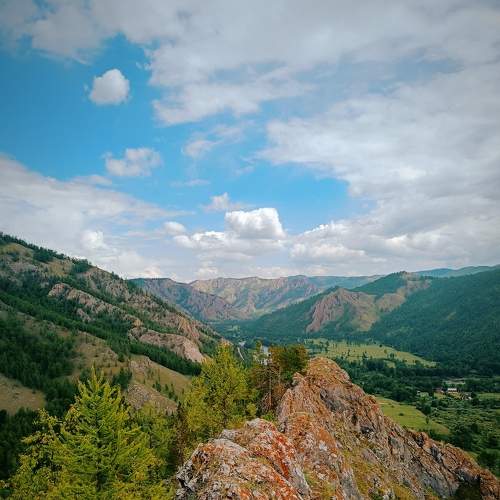 Photo #7928764