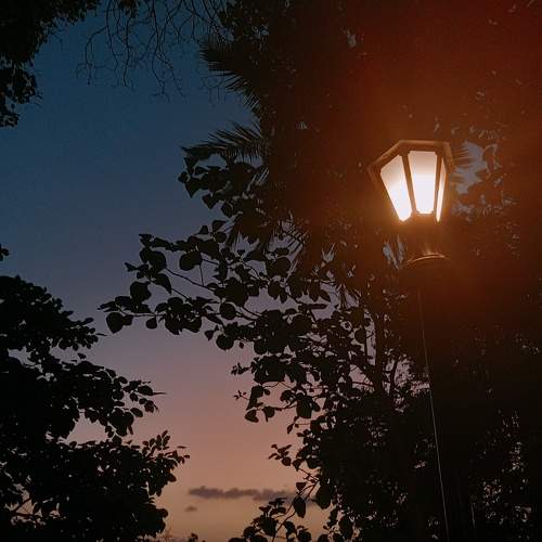 Photo #7928837