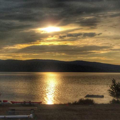 Photo #7929015