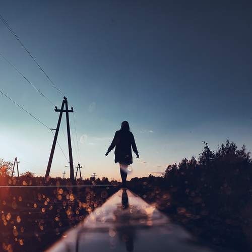 Photo #7929062