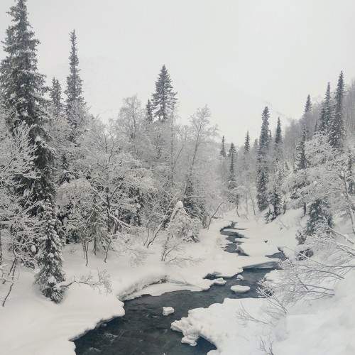 Photo #7929166
