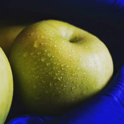 Photo #7930473