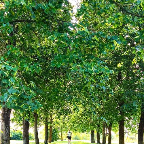 Photo #7930743