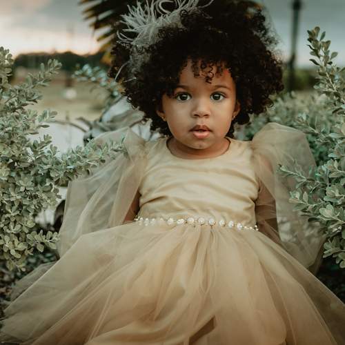 Photo #7930785