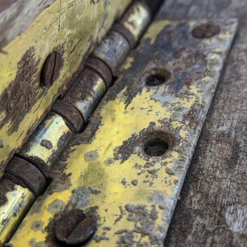 Photo #7930973