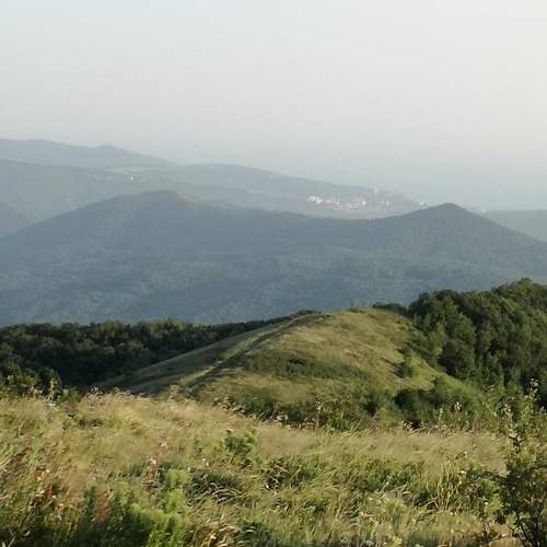 Photo #7930989