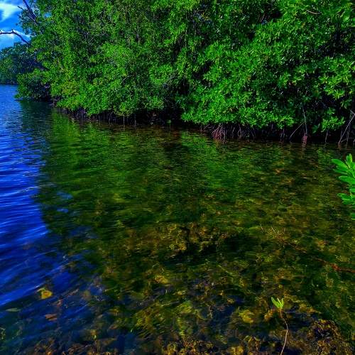 Photo #7931303