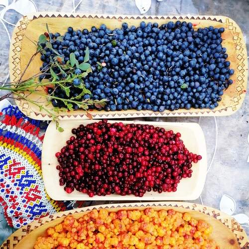 Photo #7931854