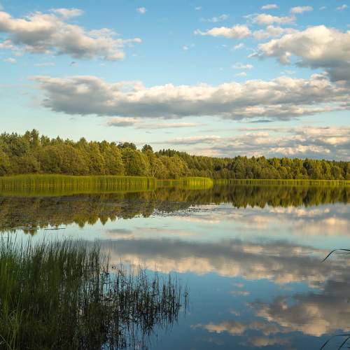 Photo #7931939