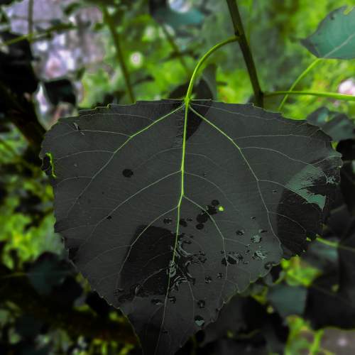 Photo #7931943