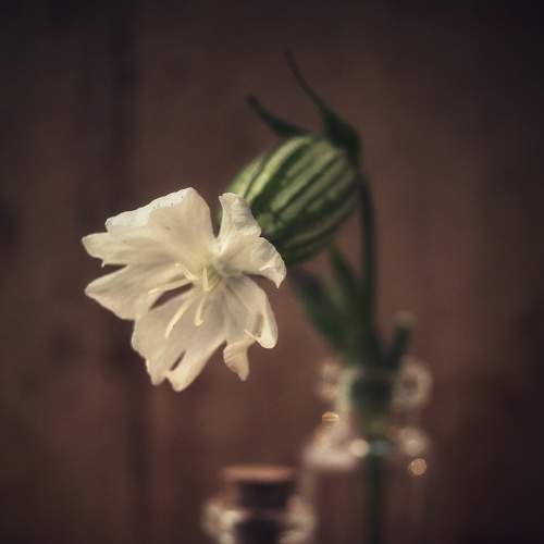 Photo #7932245