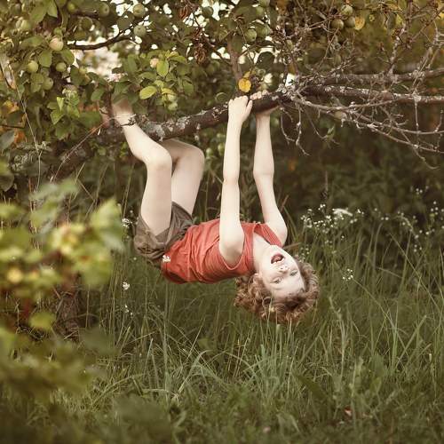 Photo #7932305