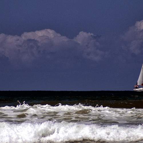 Photo #7933186