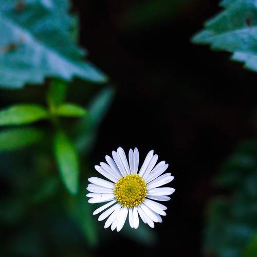 Photo #7933247