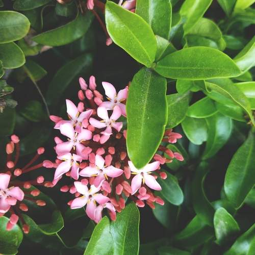 Photo #7933264