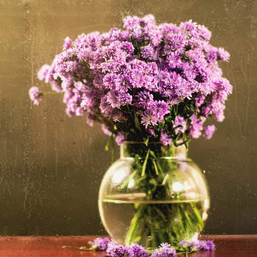 Photo #7934100