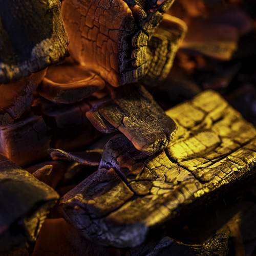 Photo #7934117