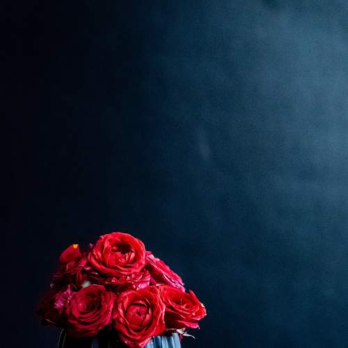 Photo #7934222