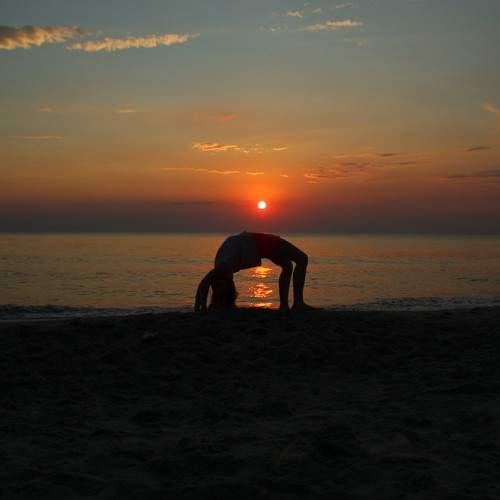 Photo #7934340