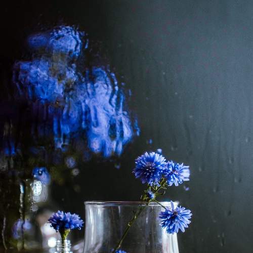 Photo #7934411