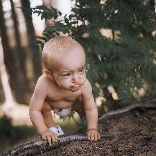 Photo #7934419