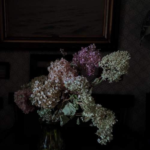 Photo #7934448