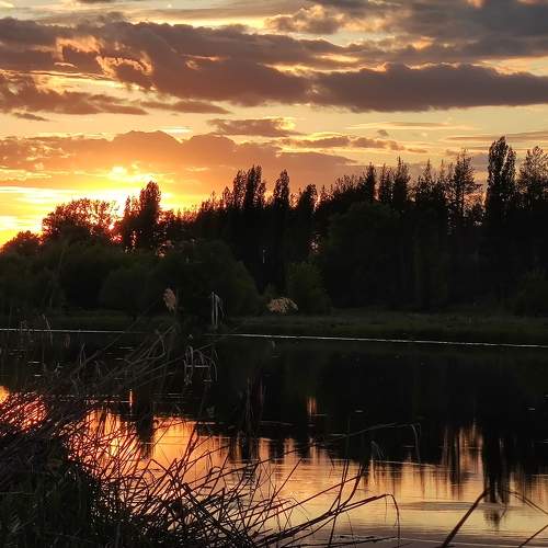 Photo #7934619