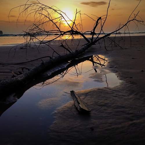Creative photography butler sea beach
