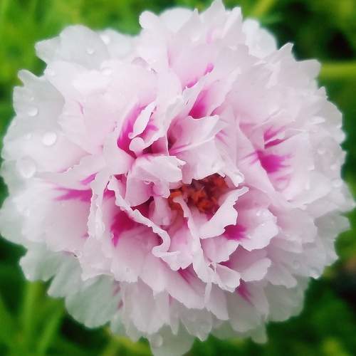 Photo #7935088